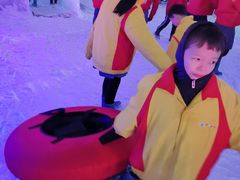 -世界之窗阿尔卑斯冰雪世界