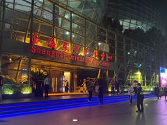 -上海东方艺术中心