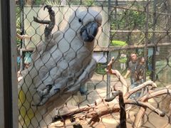 -大连森林动物园