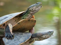 -Sony Store索尼(广州正佳店)