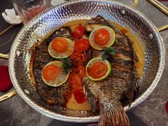 -Hi City·城市之巅