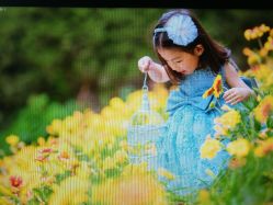 -大连棒棒糖儿童摄影(熊洞街店)