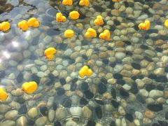 -崇阳三特浪口温泉
