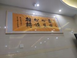 -禾美嘉医疗美容