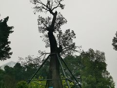 -南宁南湖公园