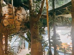 -昆明动物博物馆