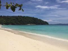 普吉岛爱维斯塔度假村-普吉岛卡塔阿维斯塔诺富特酒店度假村