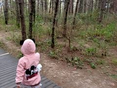 -帽儿山国家森林公园