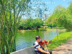-晓港公园