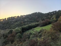 -敬亭山风景名胜区