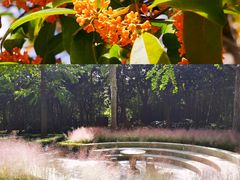 -苏州河梦清园环保主题公园