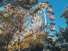 -深圳国际园林花卉博览园