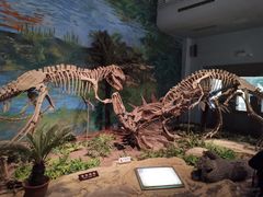 -自贡恐龙博物馆