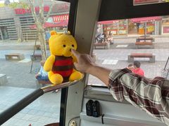 -BUS TOUR观光巴士