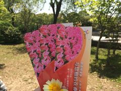 -上海鲜花港