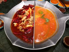 -麻田会 ·鲜活现烹·牛蛙火锅(珠江新城维家思广场店)