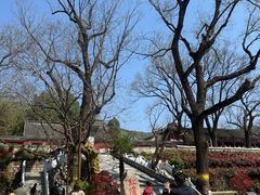 -红螺寺