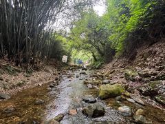 -南海湾森林生态园