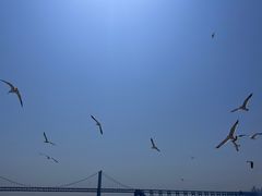 -星海广场