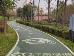 -洨河生态公园
