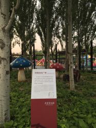 -大望京儿童游乐场