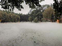 -巴山一绝烤全羊(三圣乡刘家花园店)