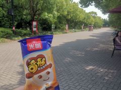 -上海海湾国家森林公园