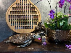 -Angkor SPA 柬埔寨古法按摩(环贸店)