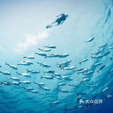马尔代夫超梦幻新岛，海底两万里的绮丽想象