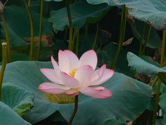 -白鹭湾湿地公园