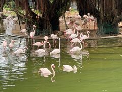 -九龙公园