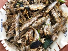 -幽优农庄·森波拉特色本地农家菜