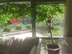 -精德口腔·种植修复·儿牙中心(财富中心店)