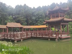 -铁山坪森林公园