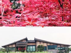 -驿舍·民國老营房院子私房菜(科学会堂店)