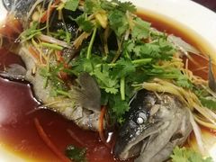 阳关虹鳟鱼-有家驴肉黄面(敦煌店)