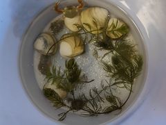 -启东黄金海滩景区