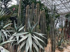 -祥源·阜阳生态乐园