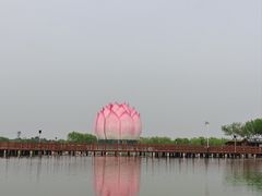 -白洋淀风景区