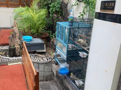 -丽江庭院之爱在路上(西单店)
