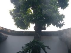 -福建省非物质文化遗产博览苑
