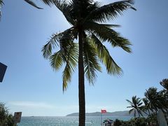 -白云中餐厅·粤菜·亚龙湾喜来登度假酒店