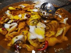 -雲蜀龙阁·金牌水煮鱼(方庄店)