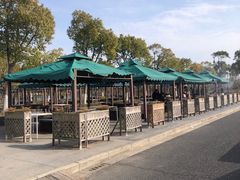 -春花秋色城市公园