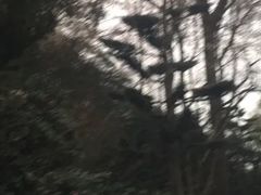 -南山植物园