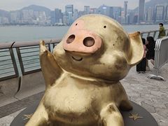 -星光大道