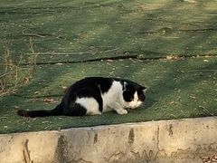 -大兴滨河森林公园