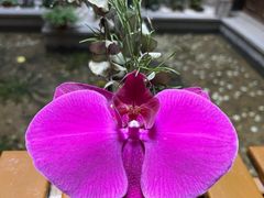 -归觅·西关小姐人文艺术馆(荔枝湾店)