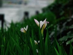 -苏州河梦清园环保主题公园