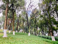 -重庆市江北嘴中央商务区中央公园